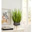 Found & Fable Green Grass Bundle with Cement Pot, 34"